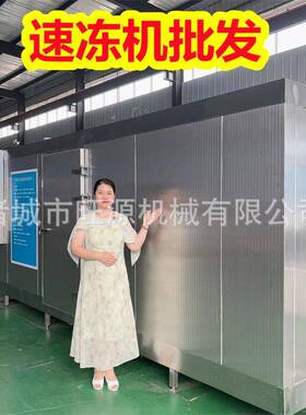 面筋素食速冻设备 商用速冻流水线 面制素食调理品速冻加工机组