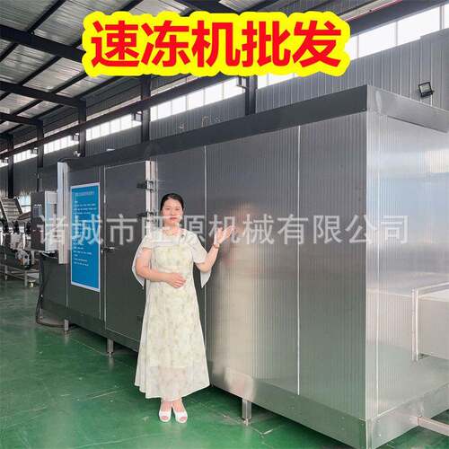 诸城旺源风冷速冻隧道设备 海产品加工线 墨鱼速冻设备价格