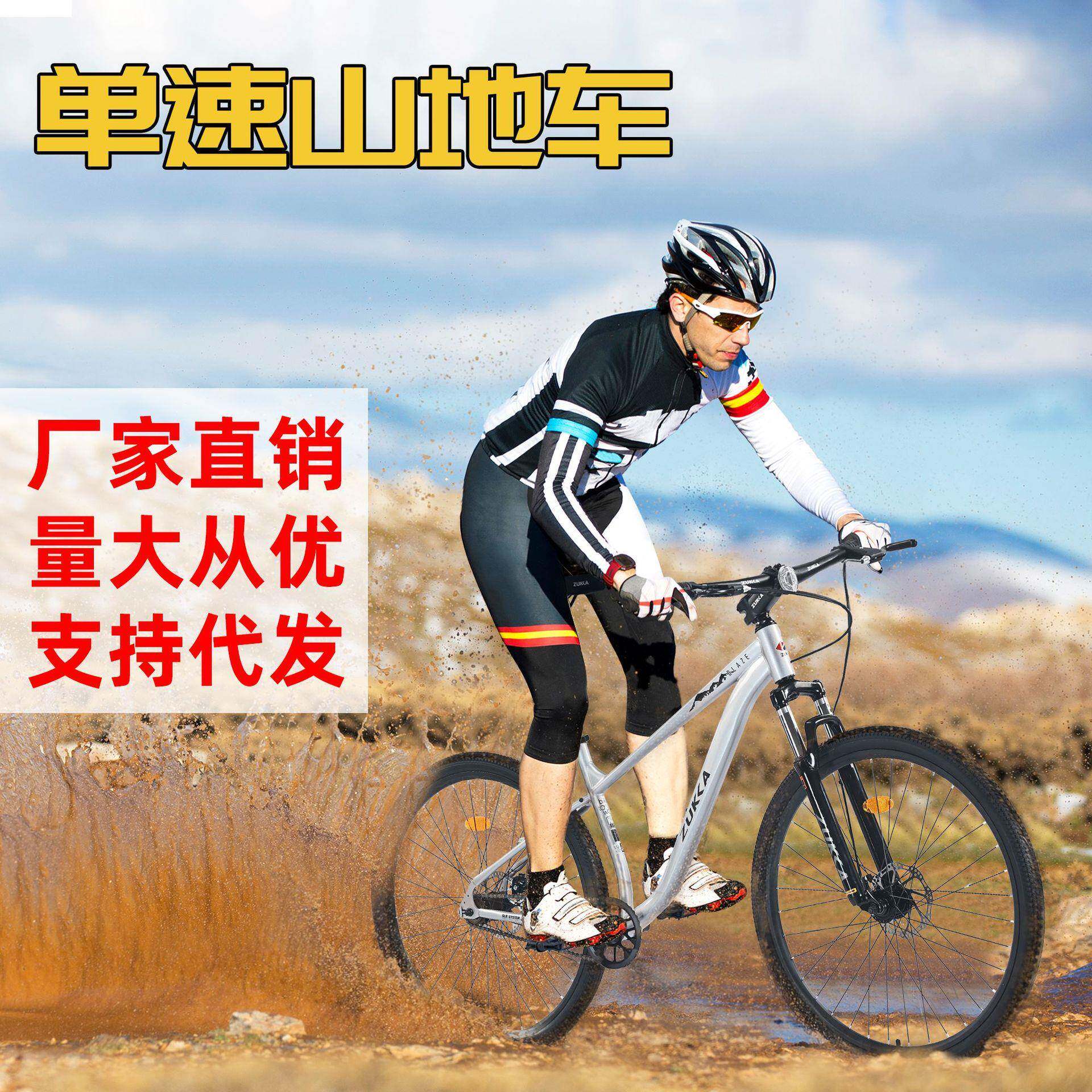 29寸双碟刹山地车成人户外野外爬坡减震双碟刹单速自行车速降