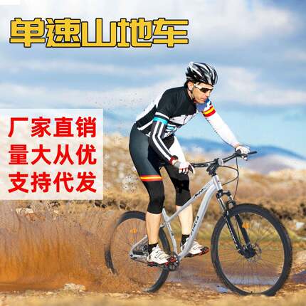 29寸双碟刹山地车成人户外野外爬坡减震双碟刹单速自行车速降