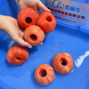 双工位三合一苹果梨子削皮切瓣机柿子番茄去皮取芯机水果削皮去核