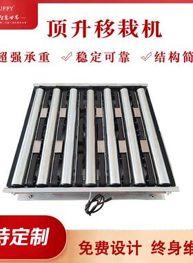 智能顶升平移机顶升移栽输送机顶升平移辊道定制自动化设备