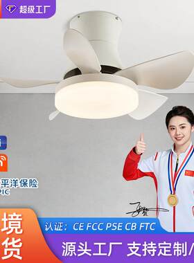 卧室风扇灯26寸儿童房一体电扇吸顶灯智能变频餐厅吊扇灯可调光