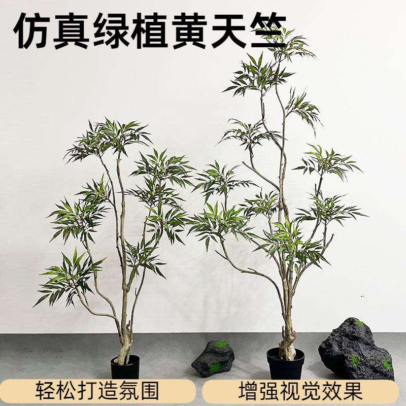 绿植黄天竺盆栽异形假植物盆景客厅橱窗装饰摆件仿真仿真花