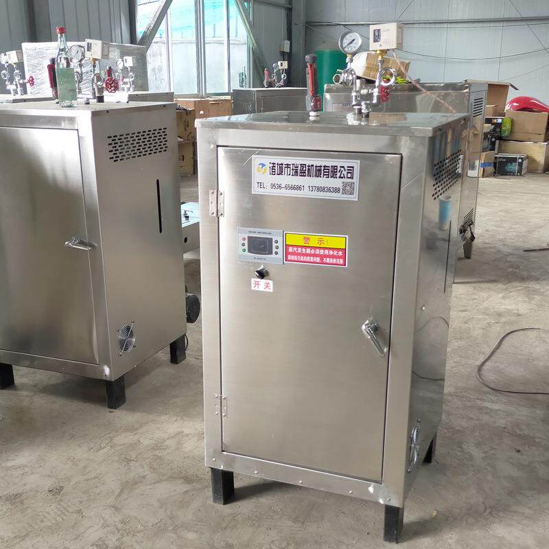 小型电蒸汽发生器 电加热蒸汽机 豆制品凉皮用不锈钢蒸汽锅炉