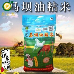 广东韶关正宗马坝油粘米10斤5kg大米不抛光农家米新米香米