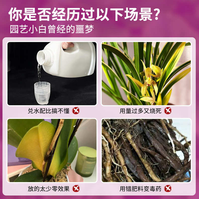 稀释蝴蝶兰墨君子兰兰科开花免有机肥料植物专用兰营养促兰花液肥