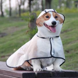 狗狗雨衣小型犬宠物雨披，中型犬下雨天遛狗神器柯基泰迪四脚衣服夏