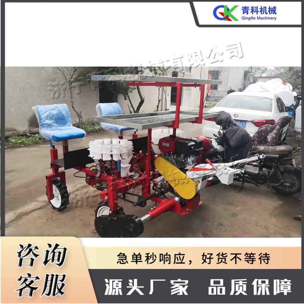 自走式蔬果移栽机小型双垄秧苗种植机拖拉机后挂式辣椒苗栽种机