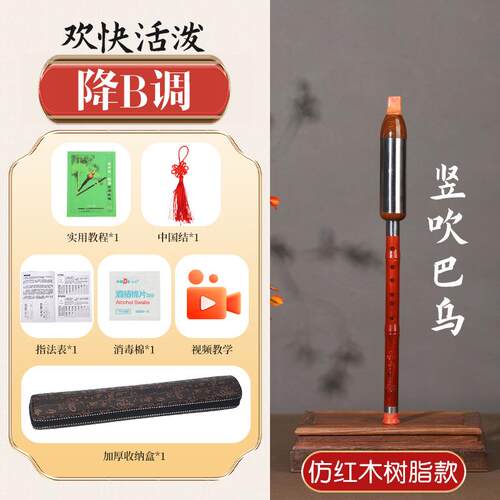 正品乌乐器巴竖吹gf调d调c降ba调儿童学生小成人巴乌调乐器初学者
