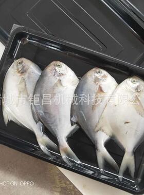 装供应排贴体包体机 生鱼片贴包装机 猪猪肉贴体真空包装机设备