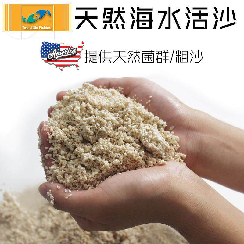两只小鱼 人工真正活沙 粗 and 细 6.8KG