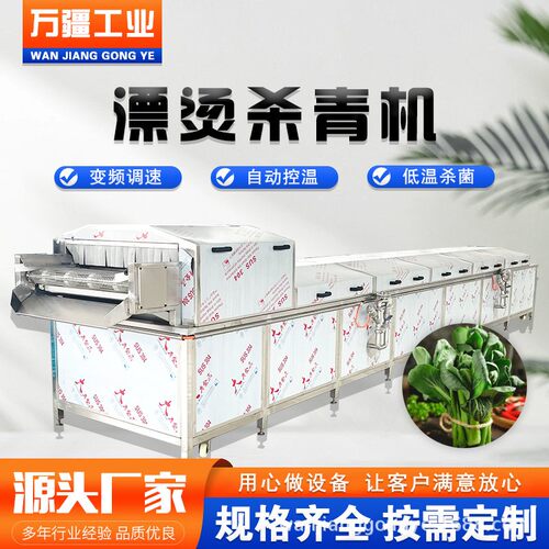 智能TUI控温芦笋漂烫 加蕨菜花椰菜烫杀青机机 袋装鲜玉米工流漂