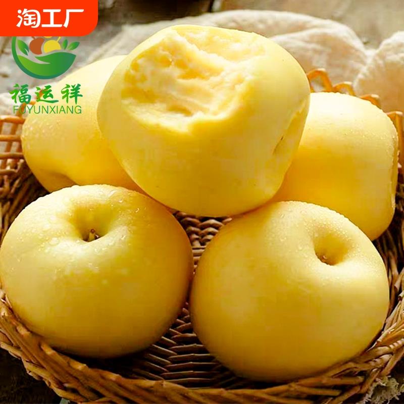 黄金奶油富士苹果山东烟台栖霞冰糖心新鲜水果牛奶5当季整箱脆甜