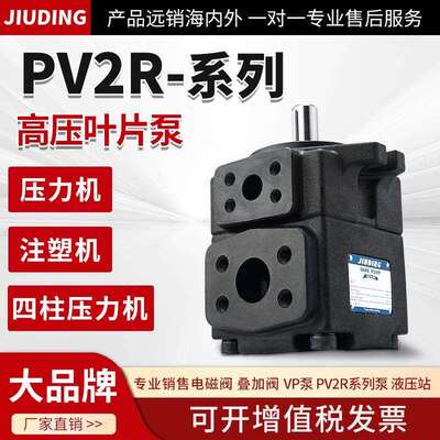 pv2r1高压叶片泵PV2R2定量液压帮浦总成pv2r3/4液压油泵压头配件