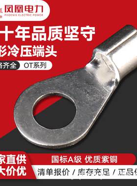 凤凰冷压端子OT1-25圆形裸端头紫铜镀银接线端子铜鼻子