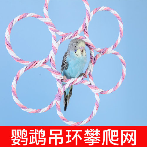 鹦鹉爬行玩具玩具鸟类虎皮雨衣