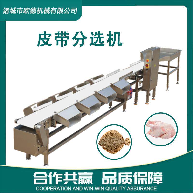 海鲜产品多宝鱼重量分级机自动上料称重鱼虾整鸡鸭分选机