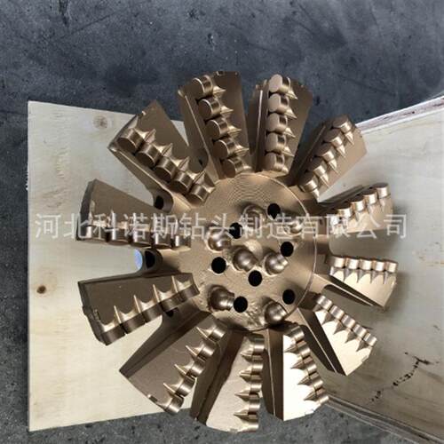 斯科诺直供头优质金刚石复合片钻头PDC10inch钻内凹钻头