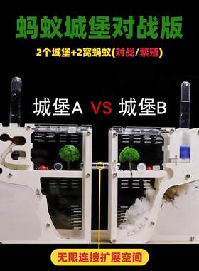 蚂蚁生态箱对战版超大型宠物蚂蚁城堡工坊蚁巢观察盒送蚁后蚁蚁窝