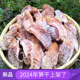 2024新货安吉冬笋尖笋干干货农家自制野生竹笋嫩头玉兰片500g