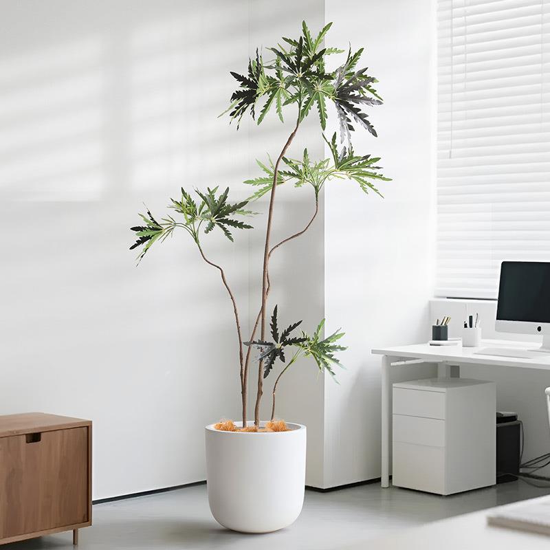 仿真绿植孔雀木大型落地盆栽卧室客厅橱窗装饰摆件假植物真