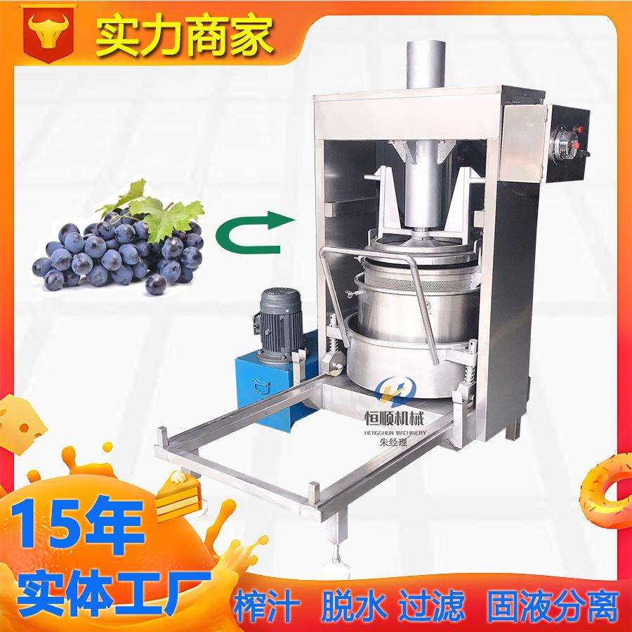 有机VC刺梨原浆提取榨汁机 液压果酒过滤压榨机 杨梅泡酒榨酒机