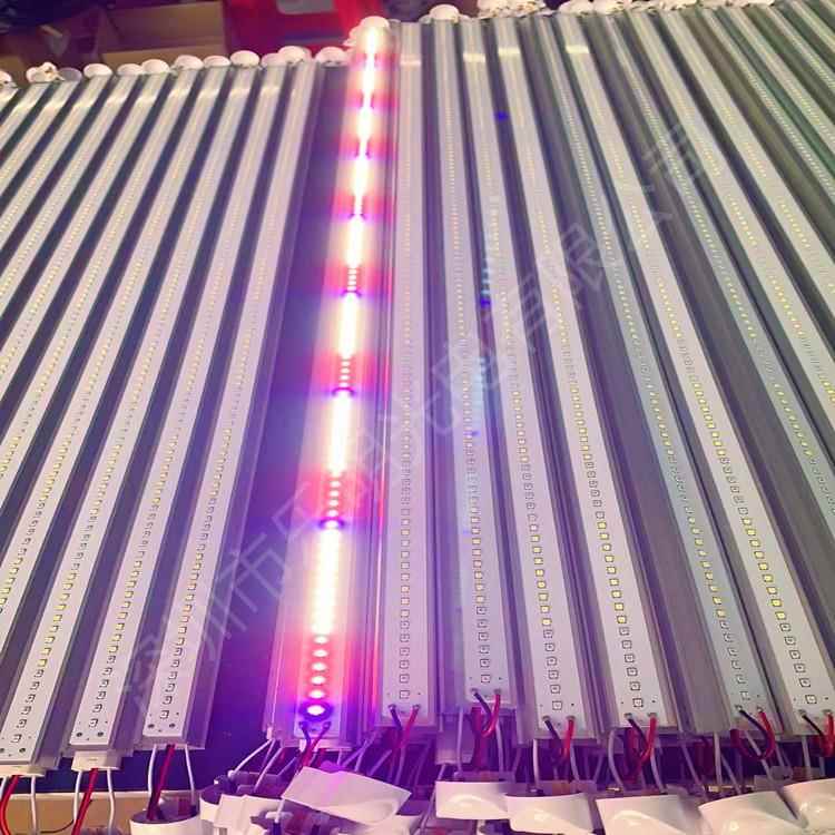 厂家LED植物生长灯管全光谱白红蓝光T8一体化植物补光灯红蓝