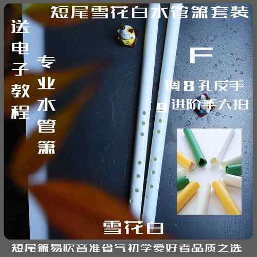 高档箫洞箫水管初学入门萧笛础子调零基专业制箫古G风八孔竹笛乐