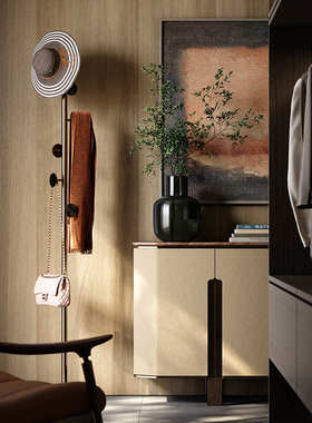 TAZA 现代简约挂衣架 全屋定制主卧系列 意大利设计师新款衣帽架