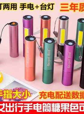 儿童手电筒小型可携式迷你家用学生可爱强光可充电户外不伤眼led