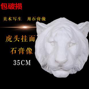 勃兰特虎头石膏像石膏头像挂面石膏像美术静物石膏教具雕塑摆件
