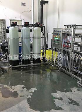 15年专业厂家直销0.5吨 1吨双级反渗透 EDI超纯水设备水处理设备