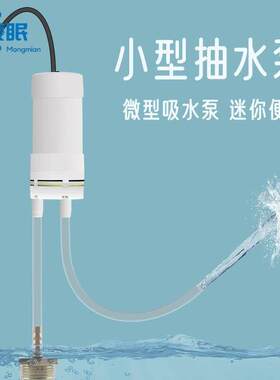 抽水器抽水饮水器电动抽水器小型抽水泵微型直流家用抽水机电动迷