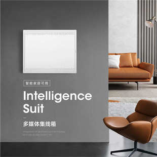 厂家直销光纤入户信息箱弱电箱暗装 250 多媒体集线箱塑面铁底322