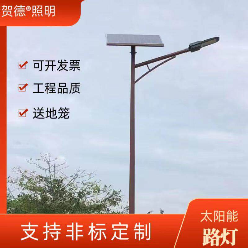 新农村6米路灯户外庭院照明灯市政工程led路灯