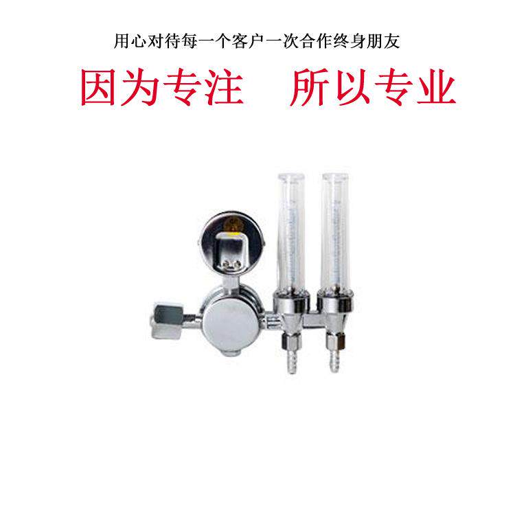 单侧双流量计式氩气减压器 YQAr-731L调节器仪器仪表小型专用设备