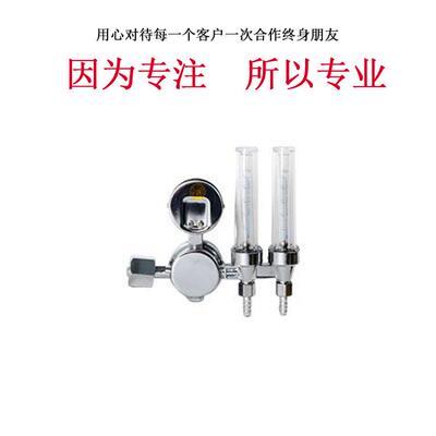 单侧双流量计式氩气减压器 YQAr-731L调节器仪器仪表小型专用设备