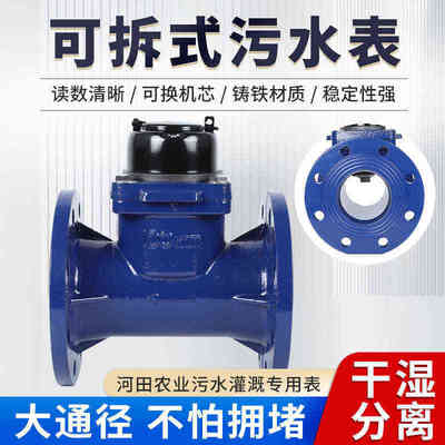 大通灌溉水表干式水表污冷水表拥堵污水不拆可法兰拆径干式工业可