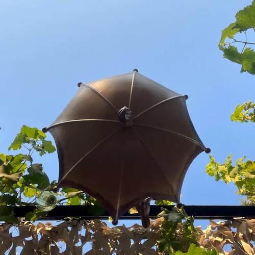 Bird Feeder Tro跨境爆款伞形喂鸟器花园庭院挂件金属工艺品