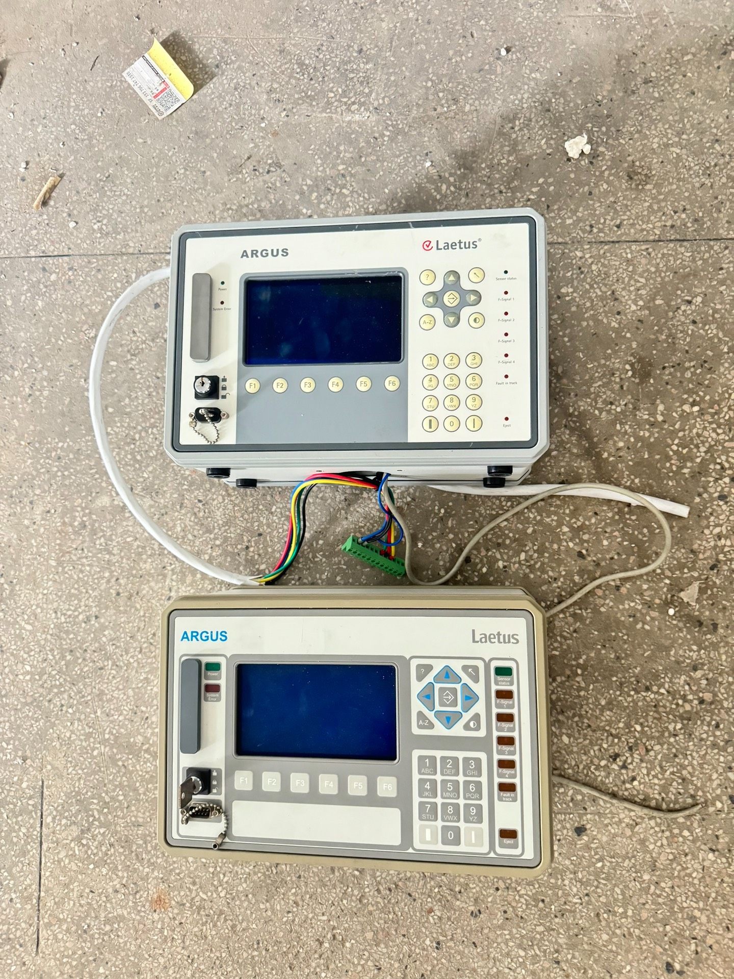 Laetus  Argus 6012 mit Gehause