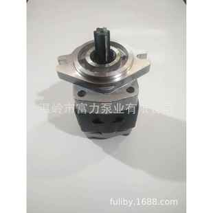 021A 齿轮泵 000W 农机泵 液压泵 叉车 FCBN02
