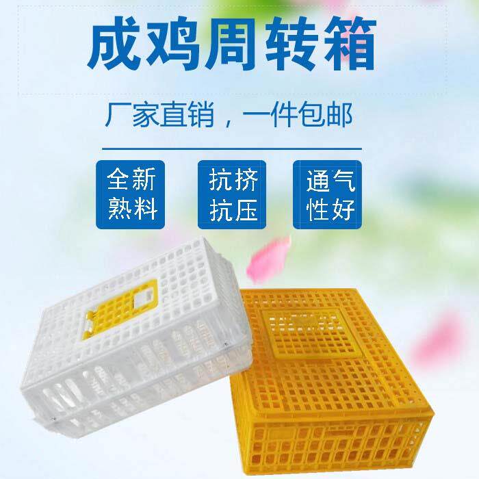成鸡周转运输笼 鸡笼家用塑料周转箱养殖笼 鸭笼鹅鸽子家禽兔笼筐