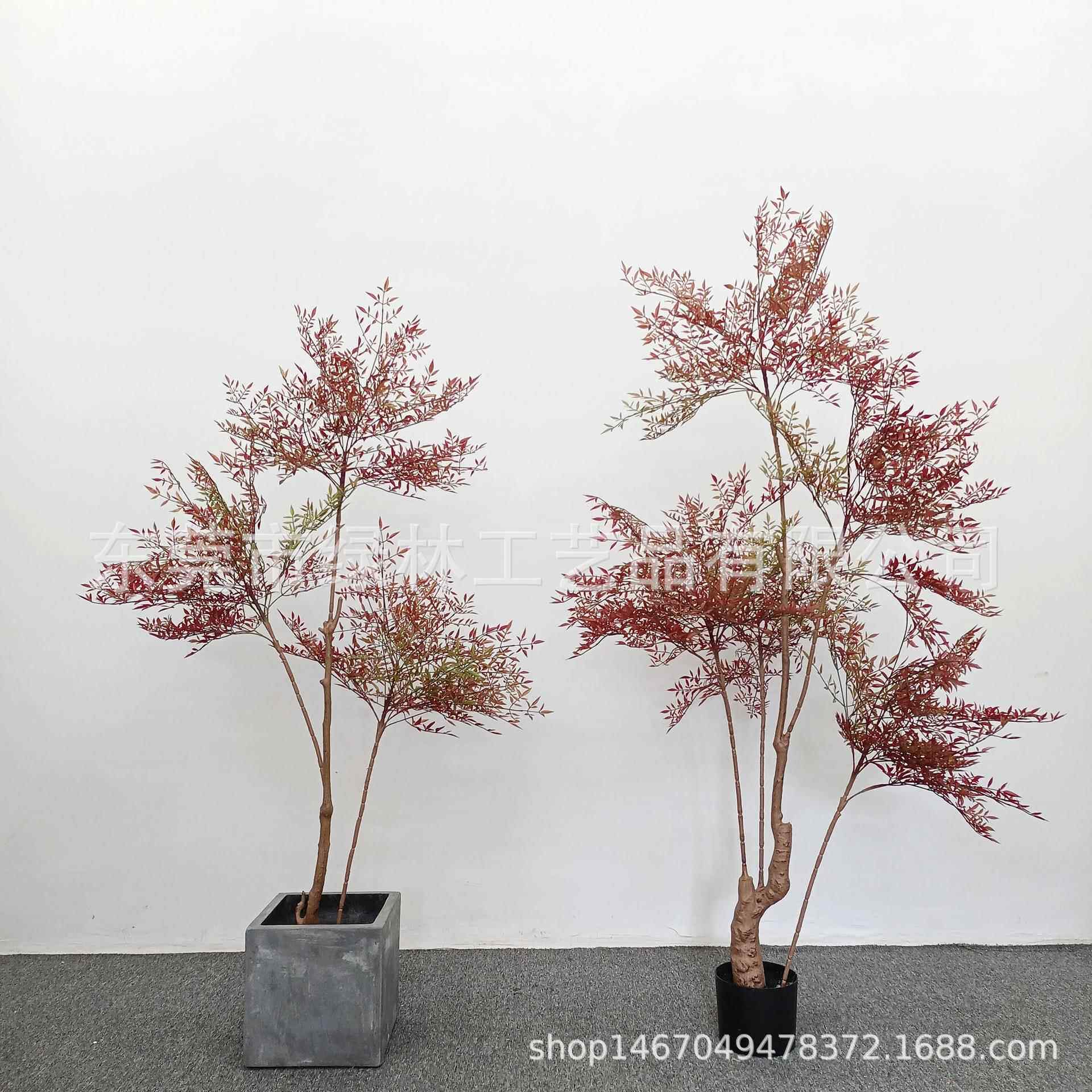 南天竹大型家居室外落地仿内真天绿植南南天竺书CRD房客厅橱窗摆