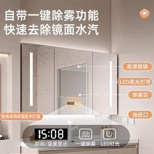 IL实能木智浴室镜柜独墙式带灯除雾单卫挂生间梳妆镜子带置物291