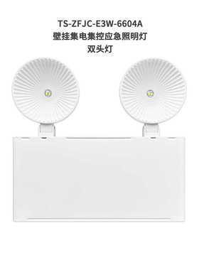应急6602b电6601c6604a壁挂控双 /集集头灯/泰和安照明灯