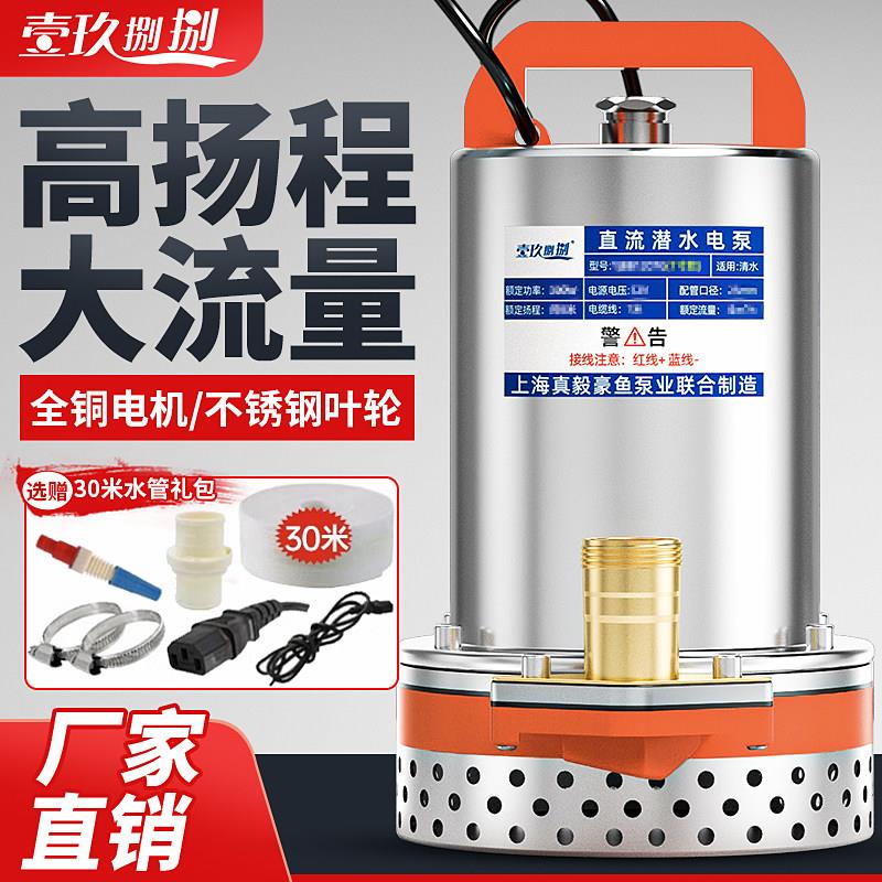 直流潜水泵48V60V72伏电瓶电动车抽水泵12V24V小型灌溉农用抽水机