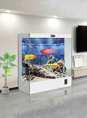 鱼缸客厅家用中小型2025新型方形壁挂式大型反滤生态美化金龙鱼缸