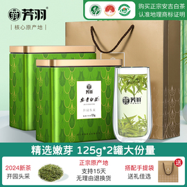 2024春茶上市安吉白茶芳羽开园头采250g正宗绿茶，珍稀罐装茶叶礼盒