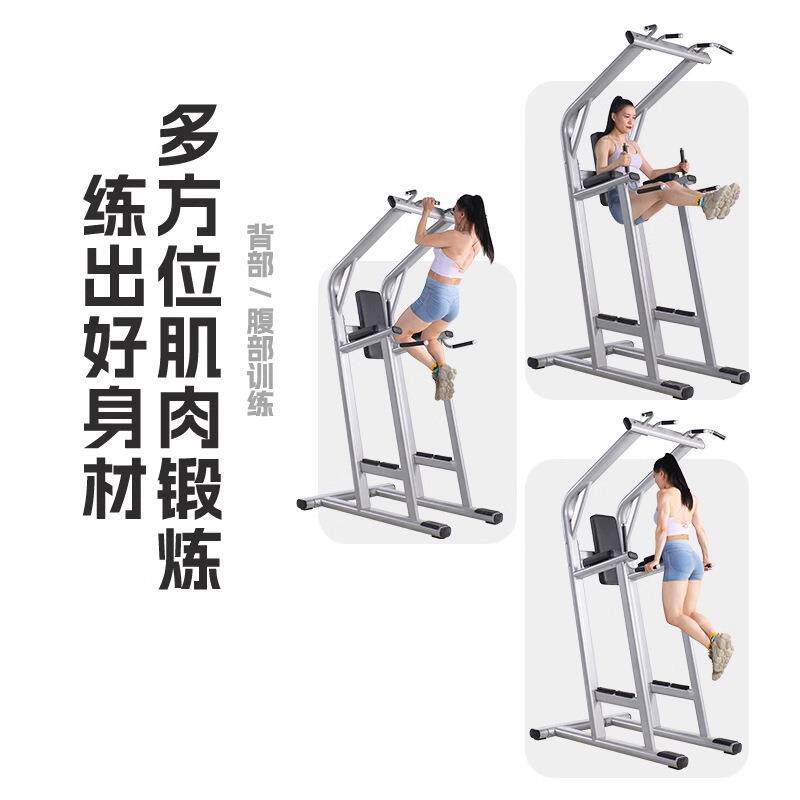 蓝鸥商用单双杠上肢屈伸双杠抬腿提膝助力引体向上训练健身房器械